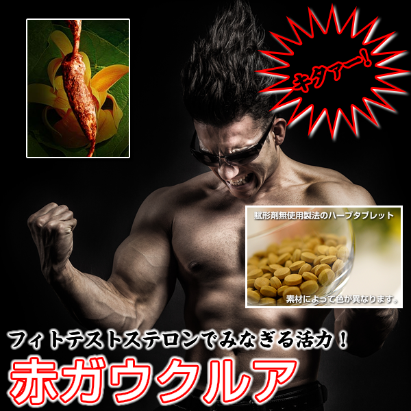 赤ガウクルア:ナチュラルバイアグラと呼ばれるフィトテストステ