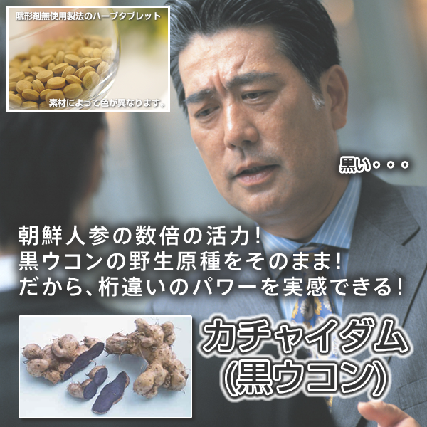 カチャイダム:朝鮮人参の数倍の強壮力!原種黒ウコン