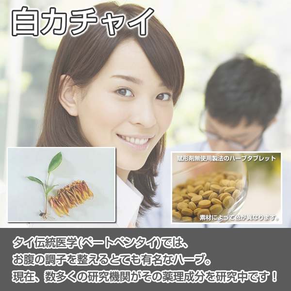 白カチャイ:胃腸,ピロリ菌対策