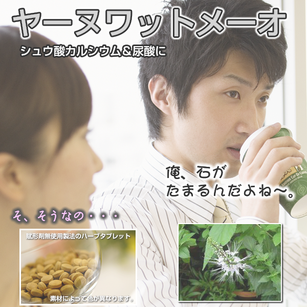 ヤーヌワットメーオ:クミスクチン(猫髭草)結石,シュウ酸カル