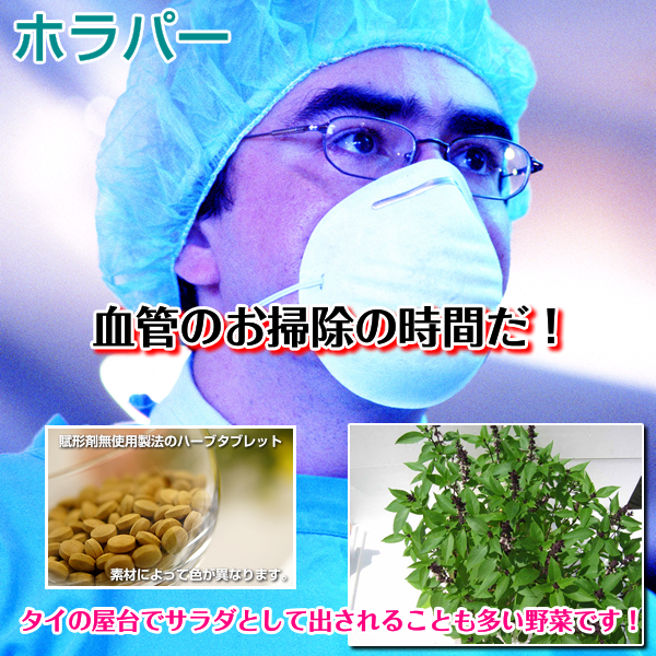 ホラパー:コレステロール&血中プラークをお掃除するハーブ