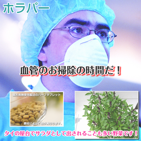 ホラパー:コレステロール&血中プラークをお掃除するハーブ