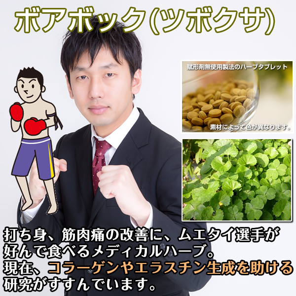 ボアボック:ツボクサ:打ち身や内出血だけじゃない!コラーゲン
