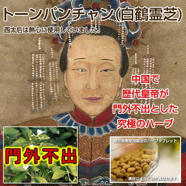 トーンパンチャン（白鶴霊芝）-ハッカクレイシ-