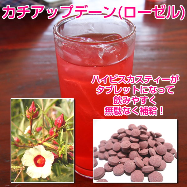 カチアップデーン(ローゼル原種)