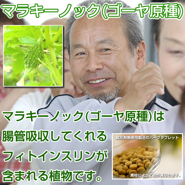 マラキーノック(ゴーヤ原種)