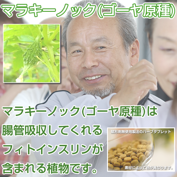 マラキーノック(ゴーヤ原種)