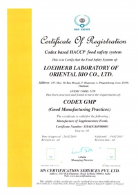 GMP
