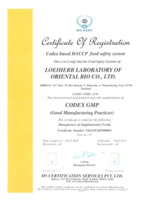 GMP
